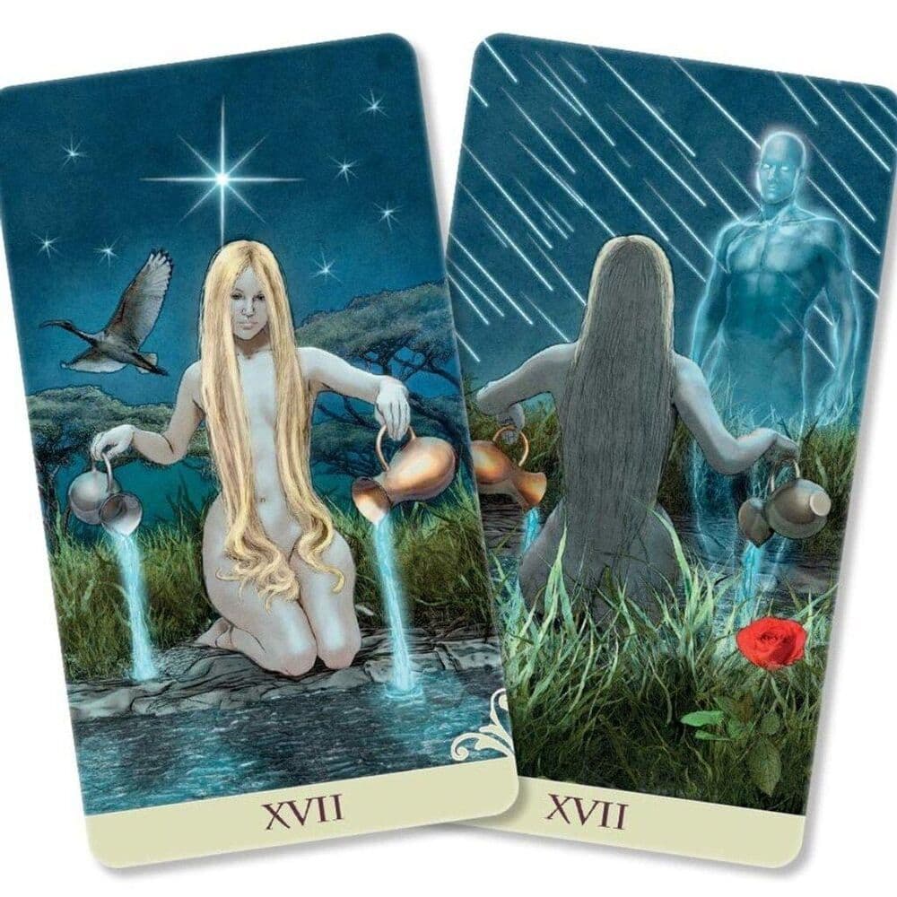 ViceVersa 78 Double Sided Tarot Deck - New - Thumbnail 7