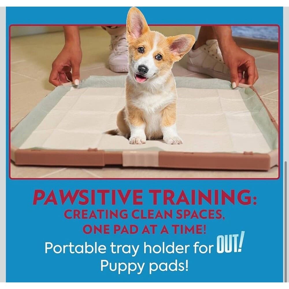 OUT! Training Pad Holder for Pets, Fits Pads 21 by 21-Inch - Thumbnail 2
