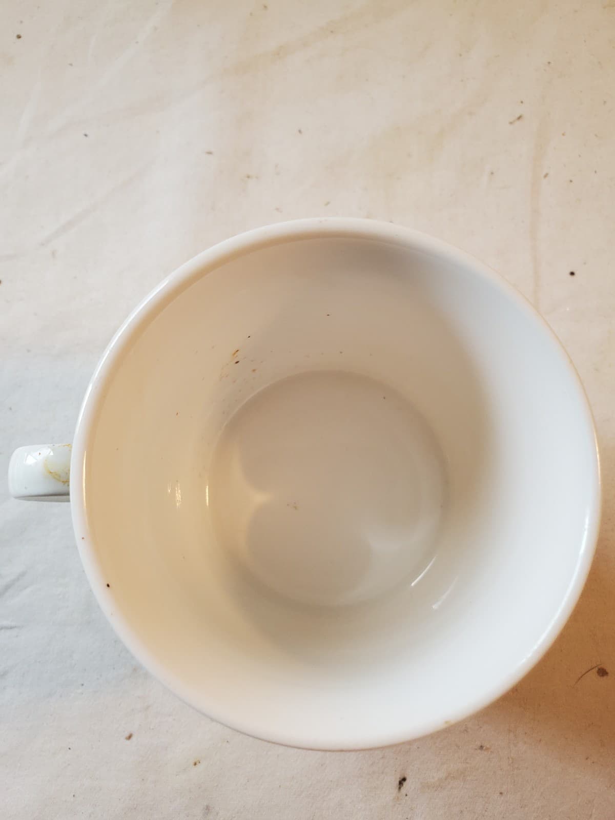 MIKASA MAXIMA - ROYAL SONATA - CAM 21 - Replacement cup - Thumbnail 2