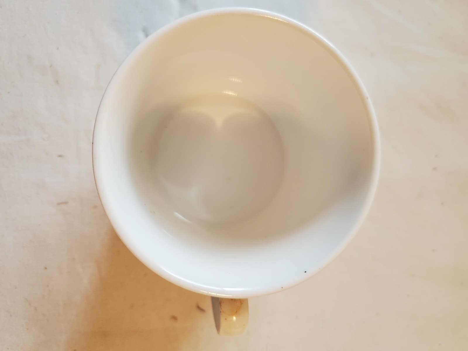 MIKASA MAXIMA - ROYAL SONATA - CAM 21 - Replacement cup - Thumbnail 6