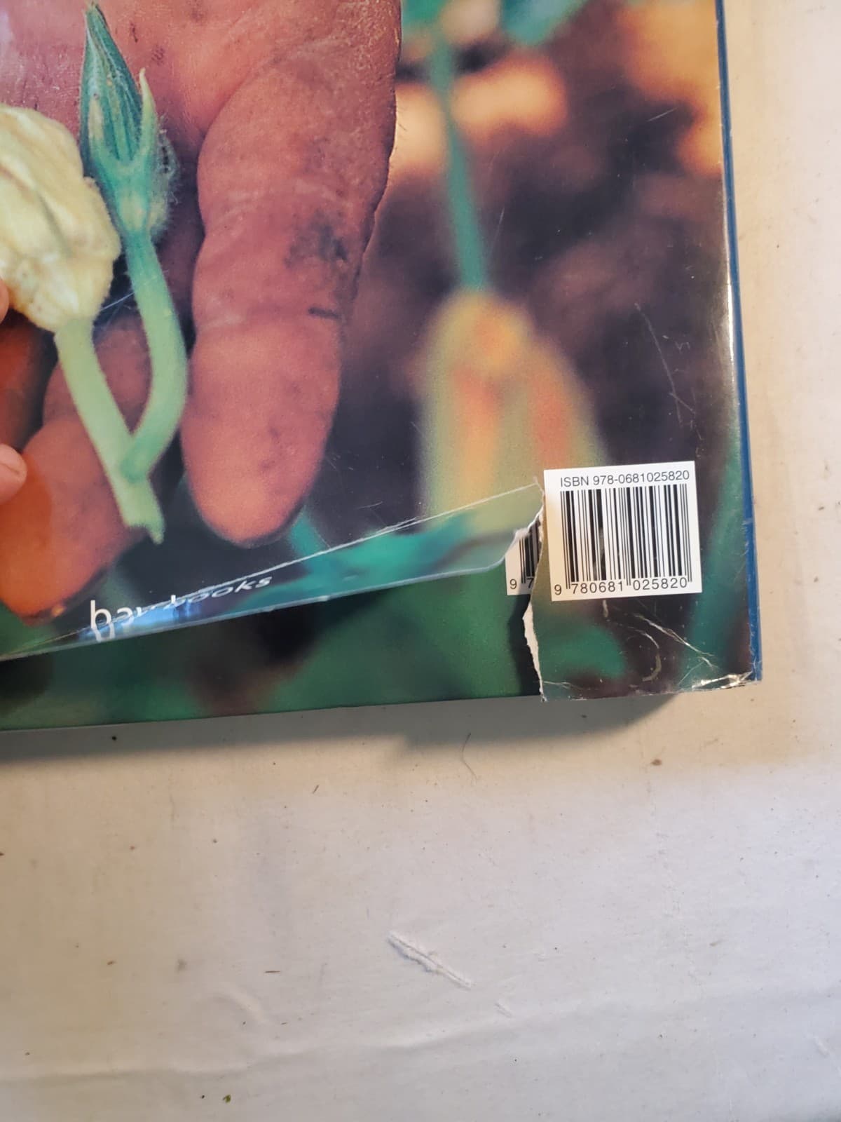 The Food of Italy Cookbook Hardcover 2000 Glynn Braimbridge Whitecap Books w/DJ - Thumbnail 5