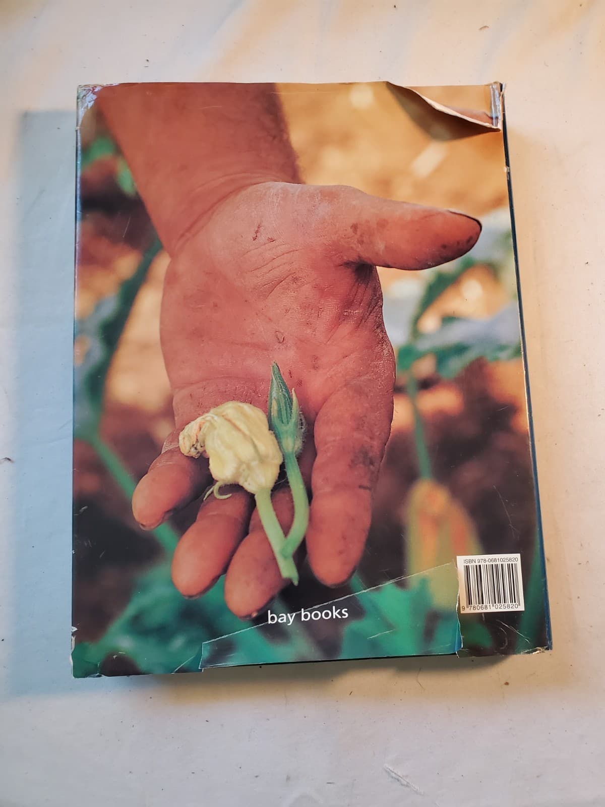 The Food of Italy Cookbook Hardcover 2000 Glynn Braimbridge Whitecap Books w/DJ - Thumbnail 2