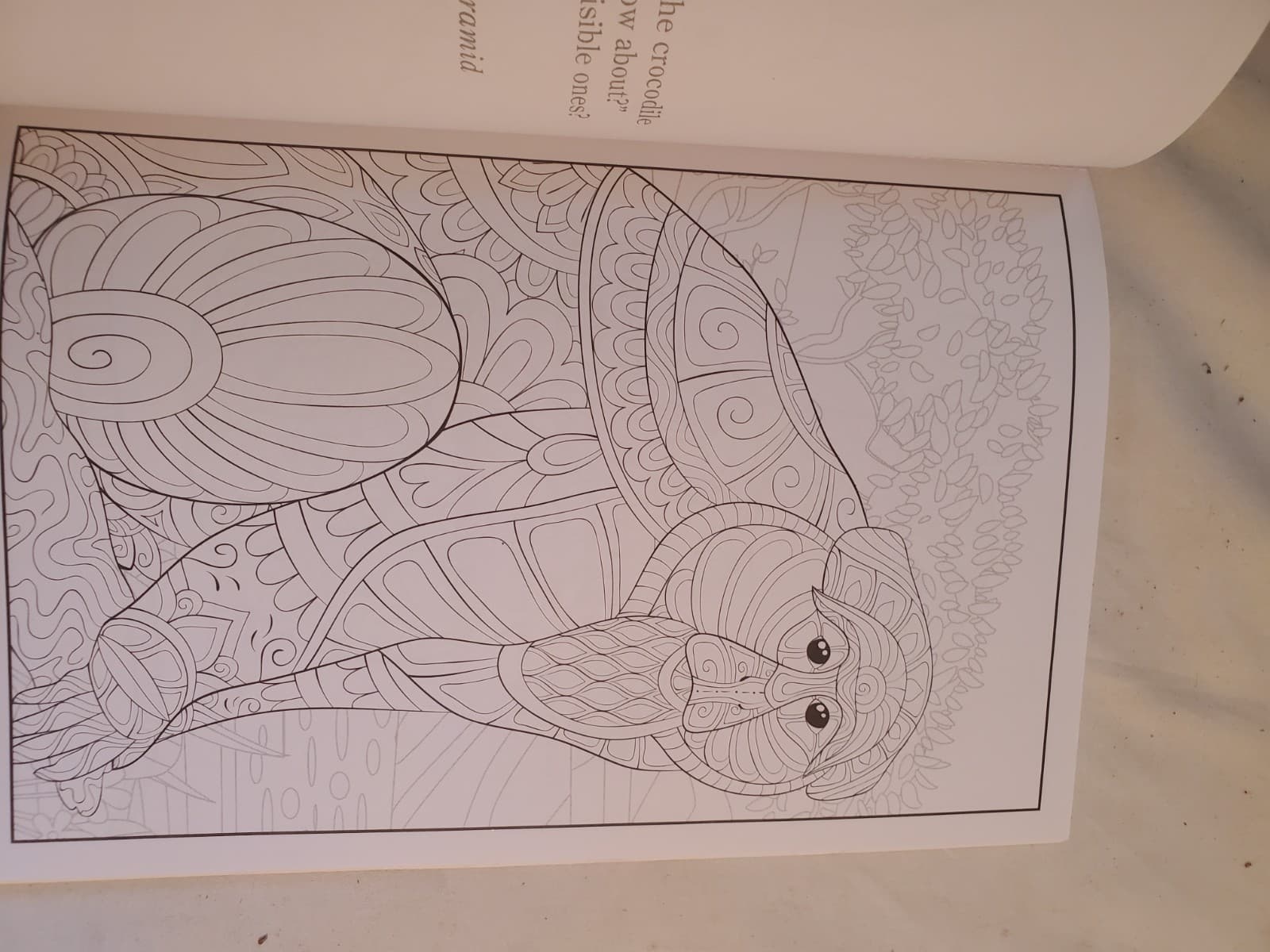 Lot of 11 Advanced/Adult Coloring Books - Relax/Stress Relief-Multiple Themes - Thumbnail 21