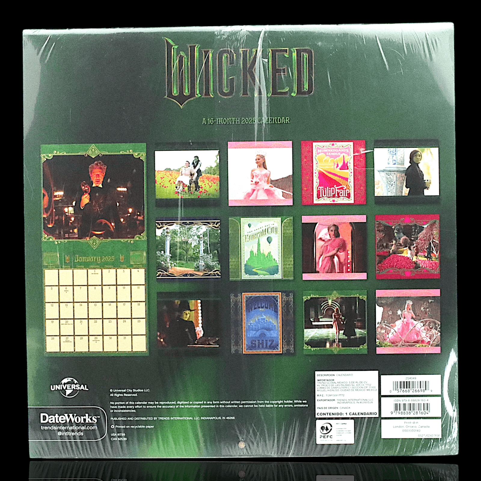 Wicked Deluxe Elphaba doll with hat, broom PLUS 2025 calendar - Thumbnail 11