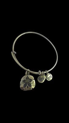 Alex & Ani Bracelet Lot Of 10 Silver & Gold Tone Expandable Bangles With Charms - Thumbnail 5