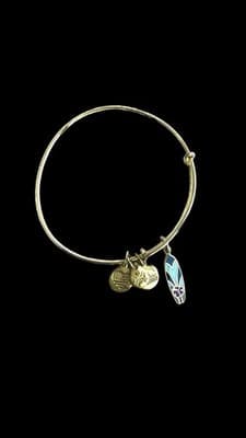 Alex & Ani Bracelet Lot Of 10 Silver & Gold Tone Expandable Bangles With Charms - Thumbnail 7