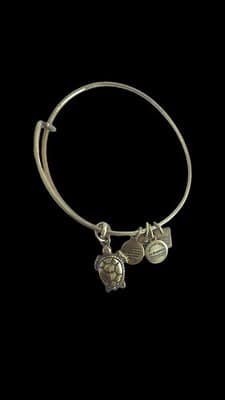 Alex & Ani Bracelet Lot Of 10 Silver & Gold Tone Expandable Bangles With Charms - Thumbnail 6