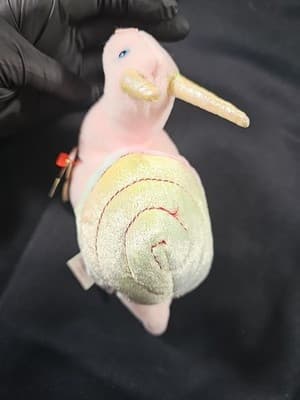 Ty Beanie Babies - Swirly the Snail Plush Toy - (0008421042494) - Thumbnail 12