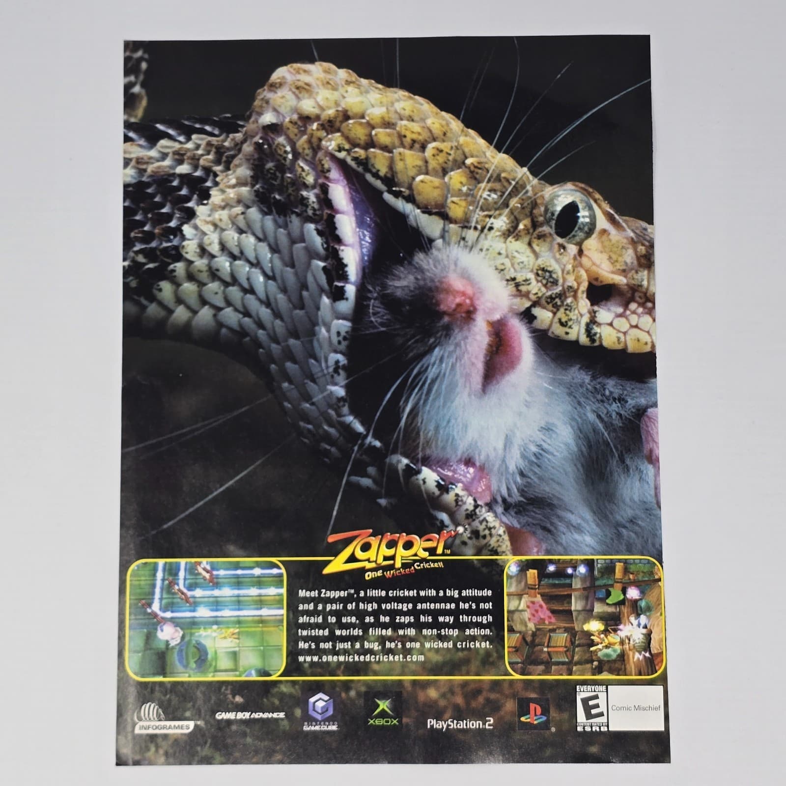 Zapper One Wicked Cricket! Xbox PlayStation 2 PS2 Little Print Ad/Poster