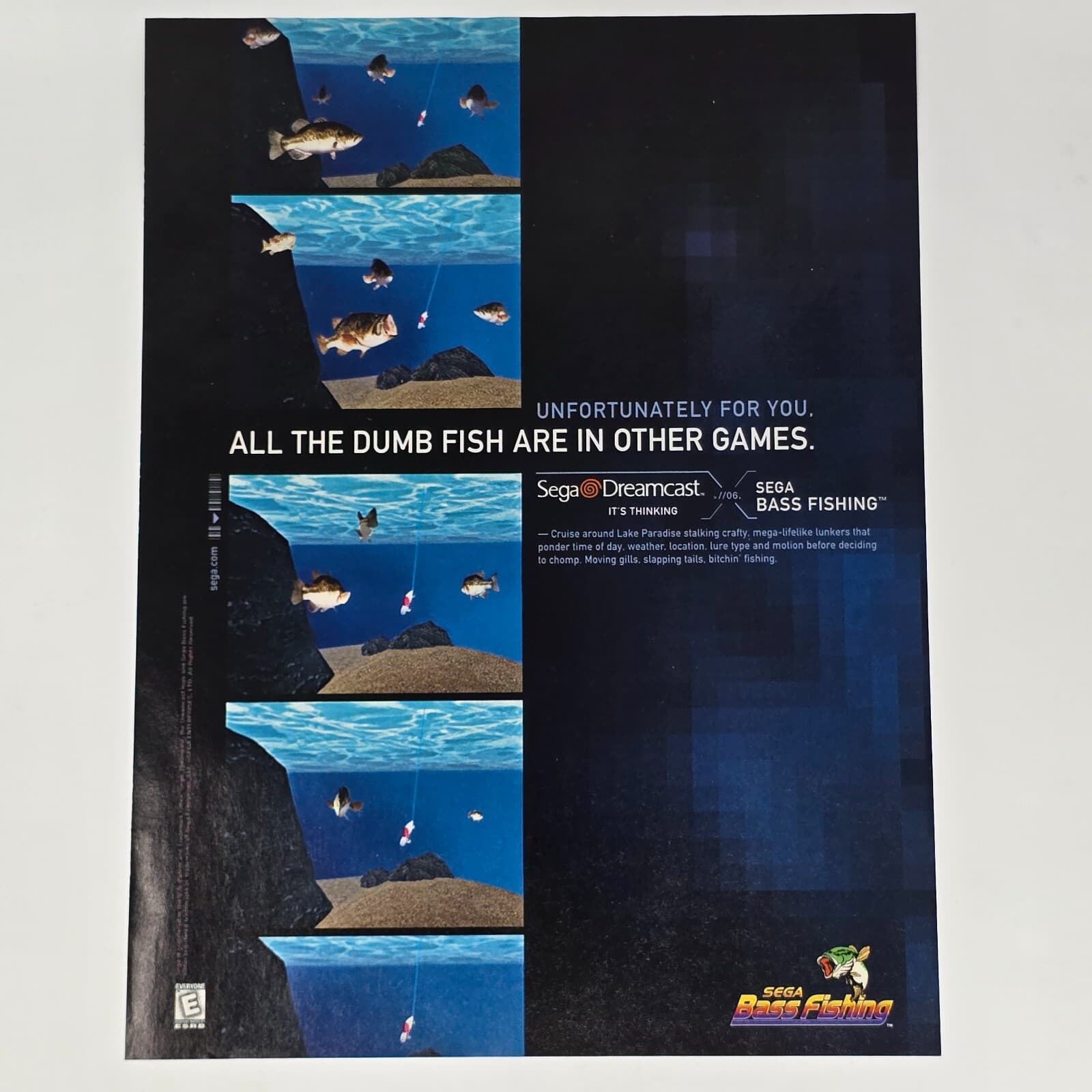 Sega Bass Fishing Dreamcast Dumb Fish Print Ad/Poster Official Promo Art