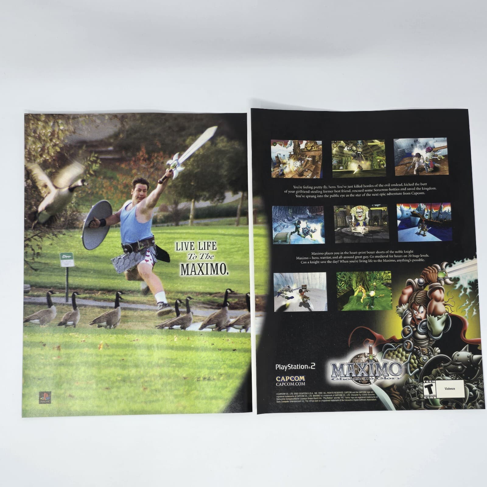 Maximo Ghosts to Glory Sony PS2 Live Life Print Ad/Poster Official Promo Art
