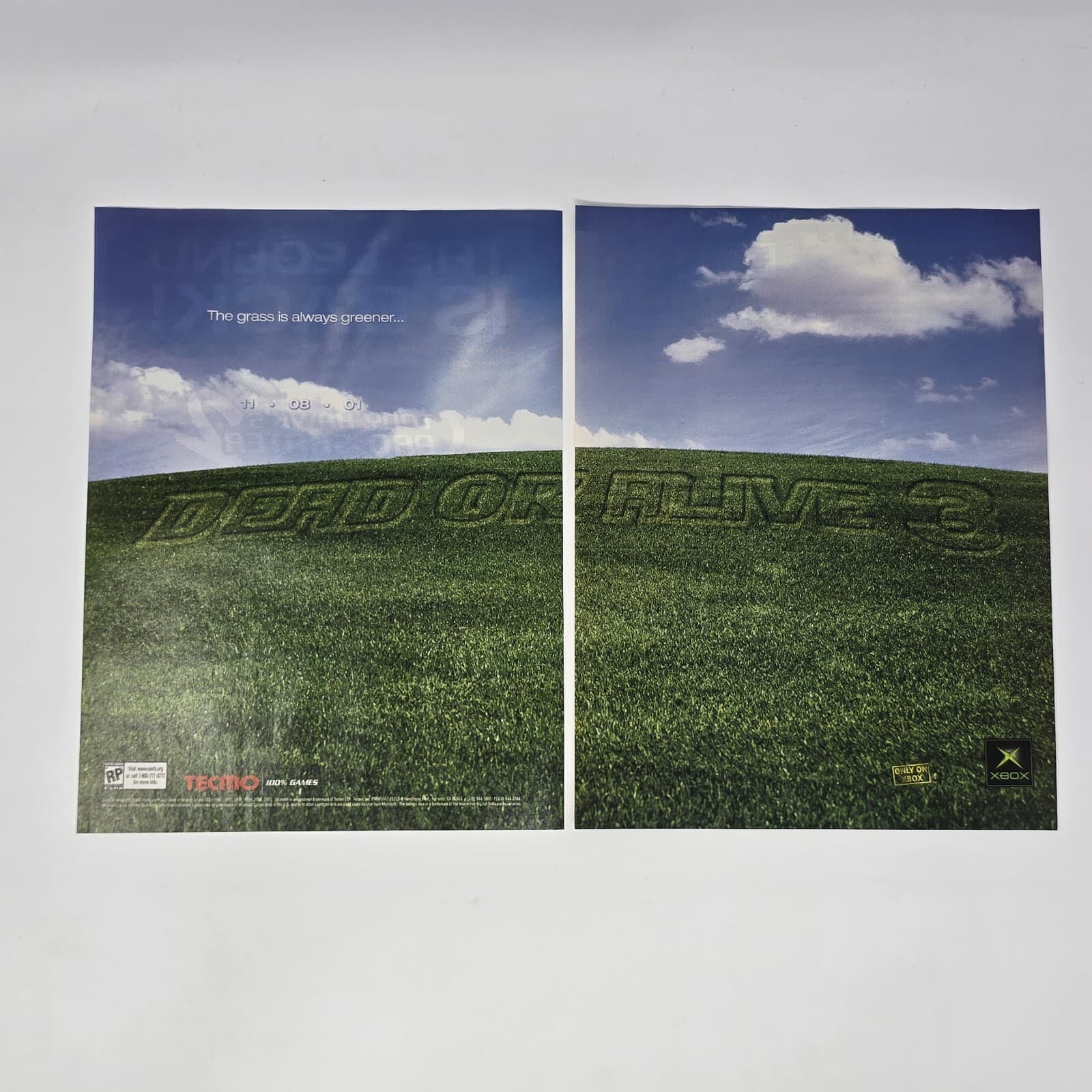 Dead or Alive 3 Xbox Grass is Always Greener Print Ad/Poster Official Promo Art