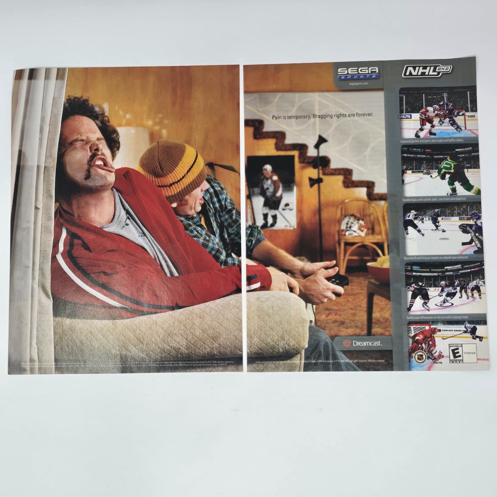 NHL 2K2 Sega Dreamcast Pain is Temporary Print Ad/Poster Promo Art