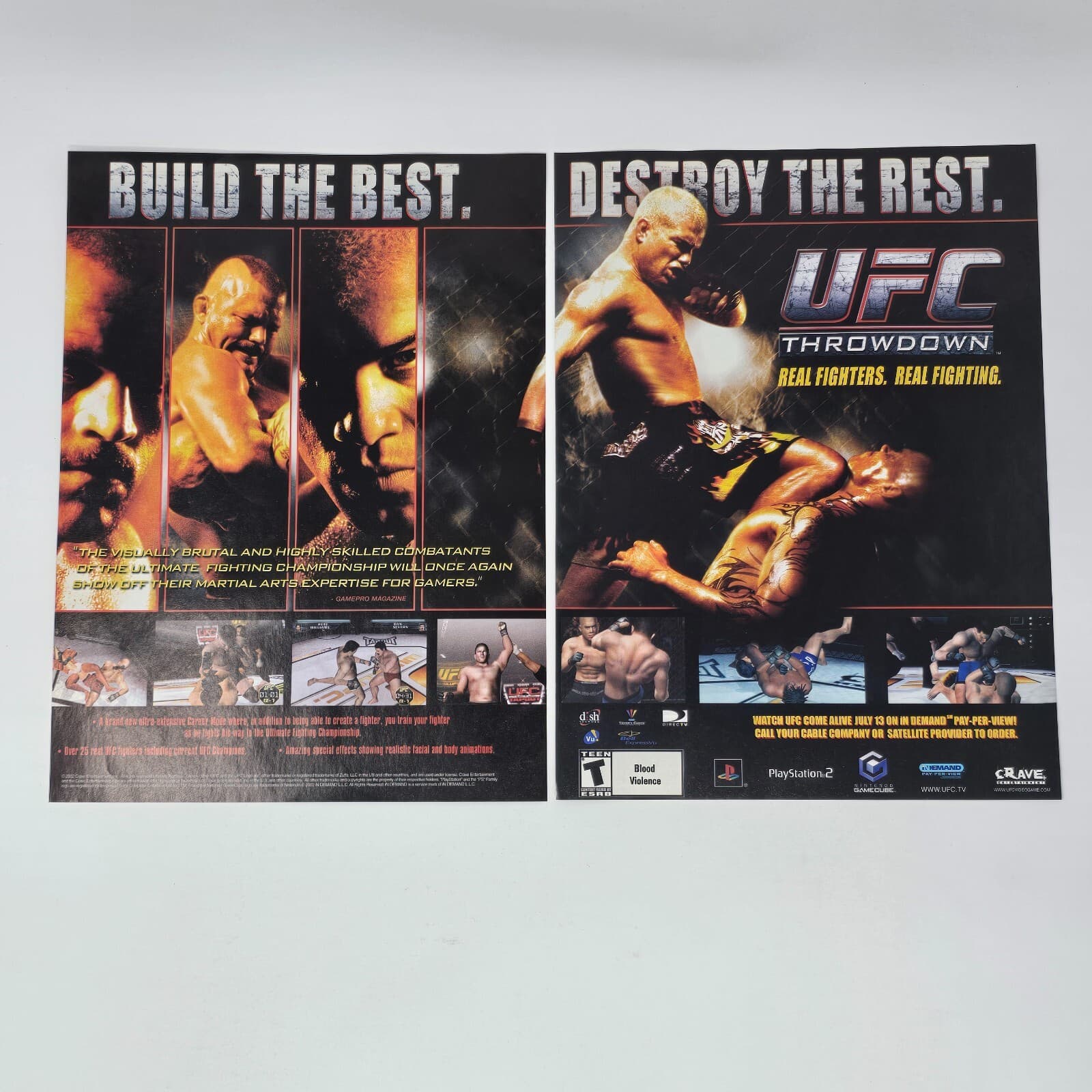 UFC Throwdown PlayStation 2 PS2 GameCube Destroy Print Ad/Poster Promo Art