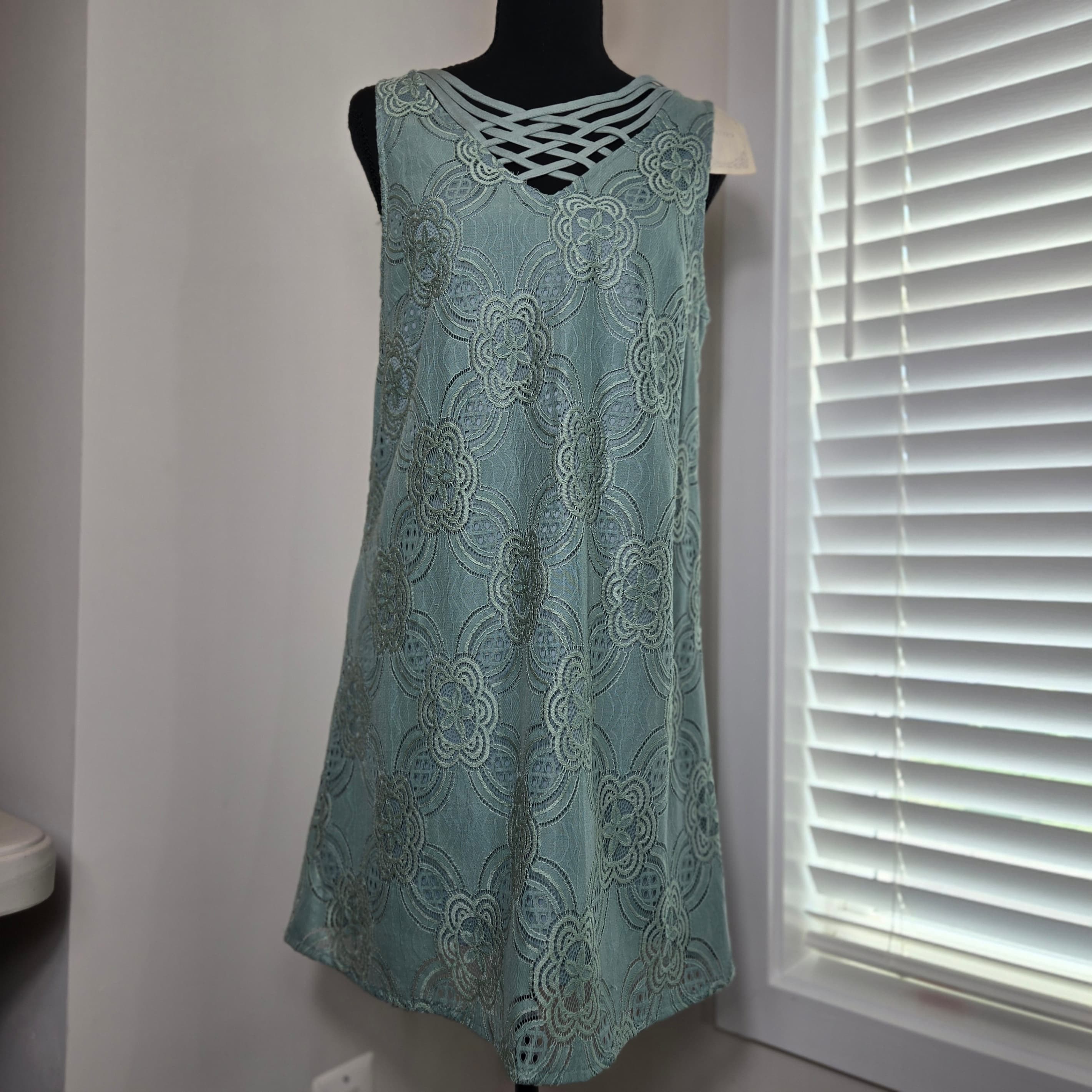 Entro Lace Overlay Dress Small NWT