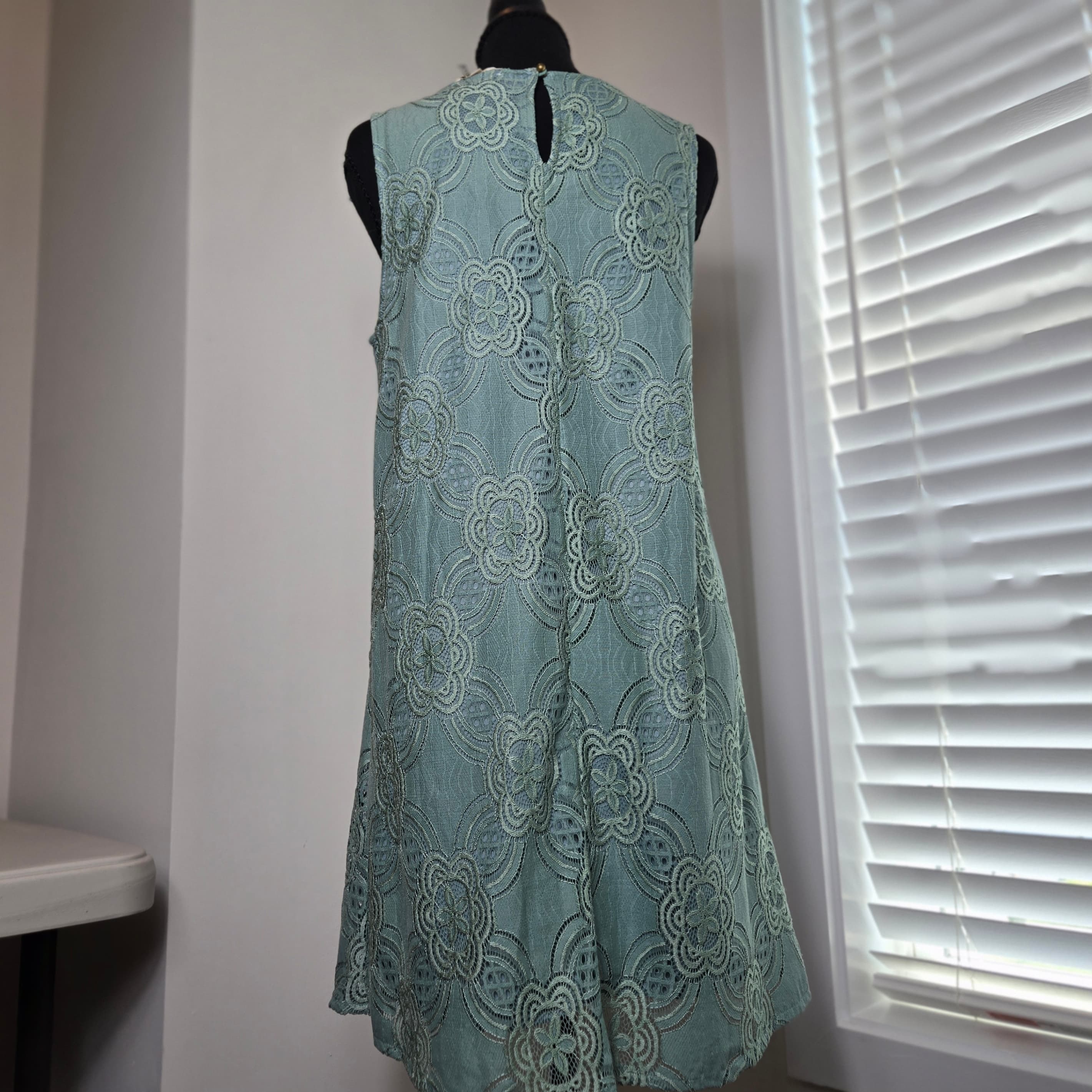 Entro Lace Overlay Dress Small NWT - Thumbnail 8