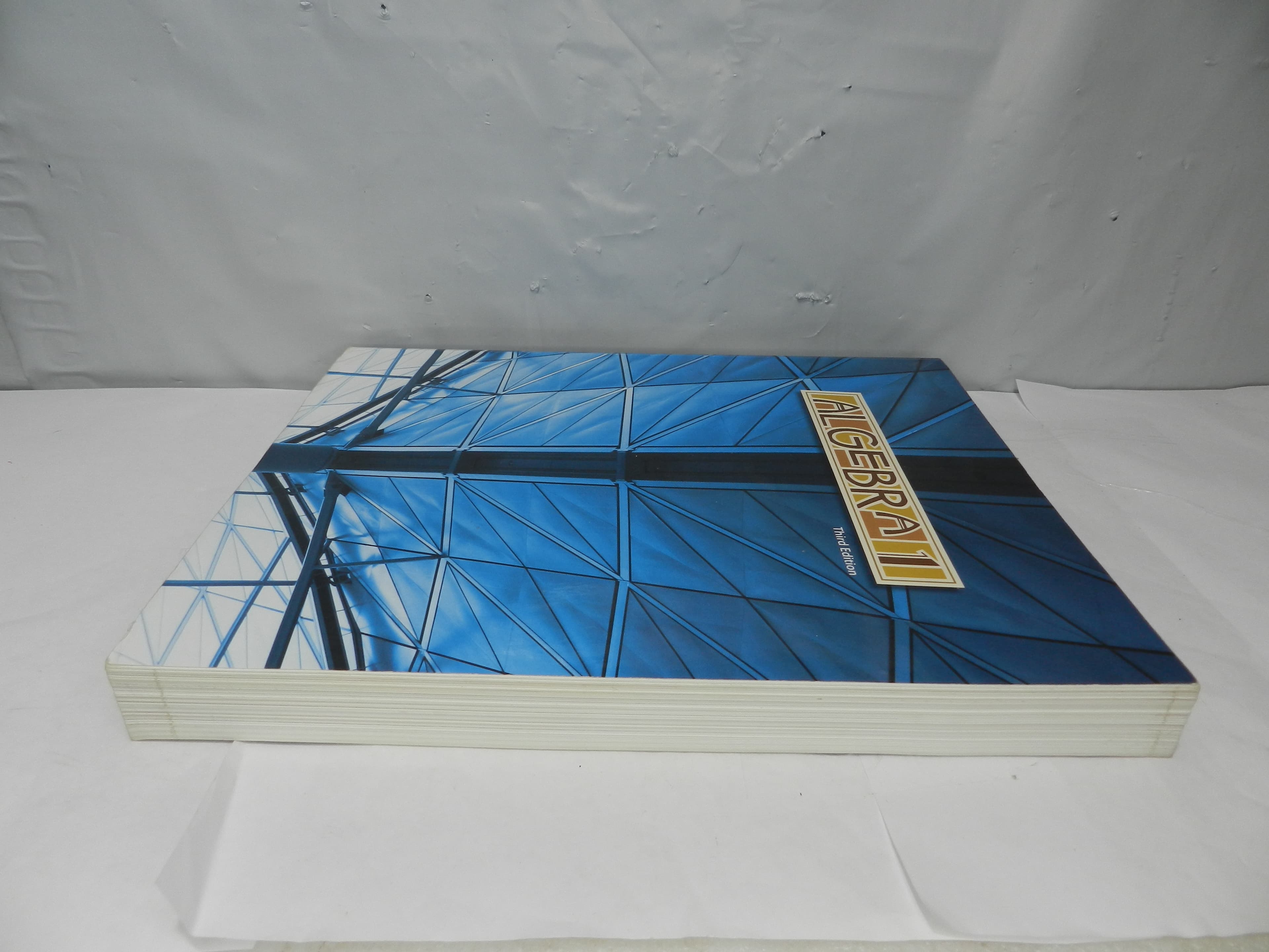 BJU Bob Jone University Algebra 1 3rd Edition Student Manual (O14M) - Thumbnail 2
