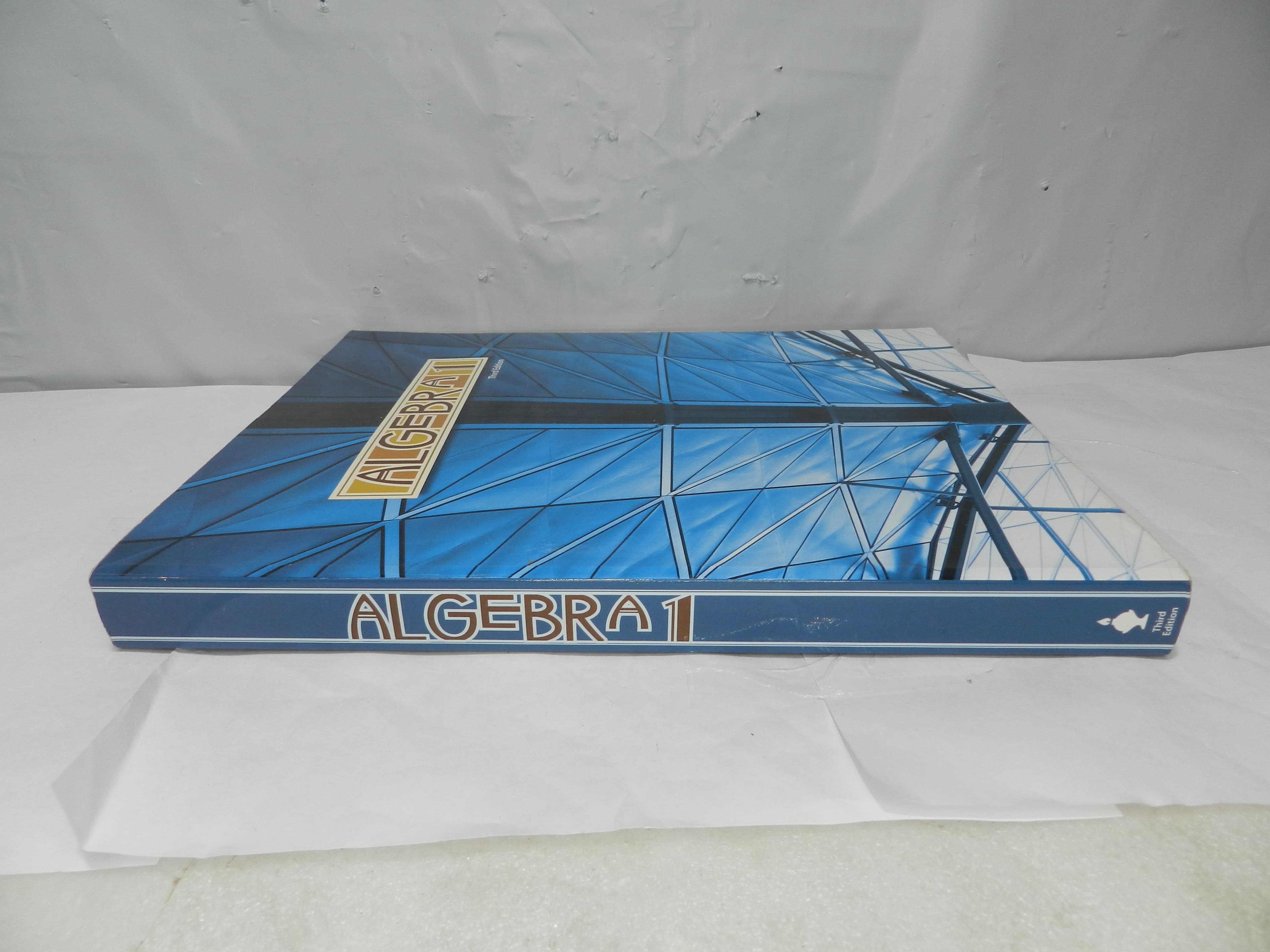 BJU Bob Jone University Algebra 1 3rd Edition Student Manual (O14M) - Thumbnail 3