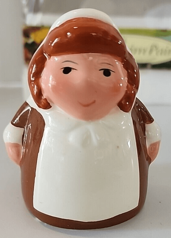 The Lilgrim Pair Salt & Pepper Shakers Publix Thanksgiving Premiere Edition 2005 - Thumbnail 8