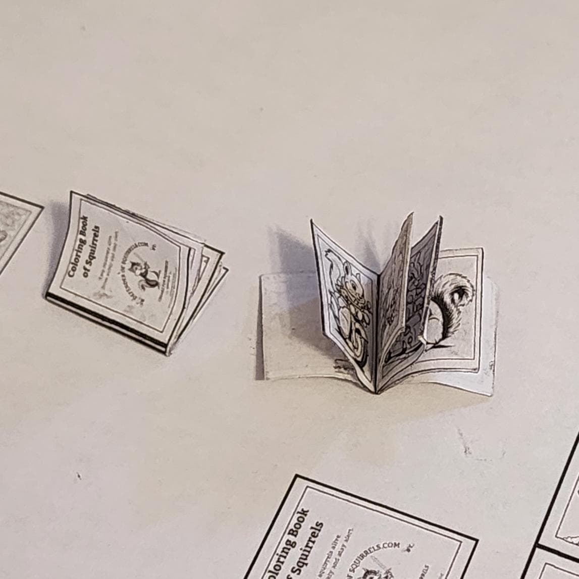 Miniature Squirrel Coloring Book Template, 1:12 Scale Dollhouse Printable, Tiny Squirrel Illustrations, Digital Download DIY Miniature Book - Thumbnail 6