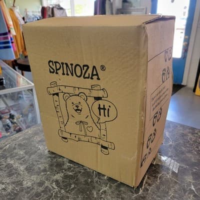 Vintage SPINOZA speaks From the Heart Therapy Plush Bear Collector Talking Tapes