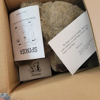 Vintage SPINOZA speaks From the Heart Therapy Plush Bear Collector Talking Tapes - Thumbnail 6