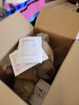 Vintage SPINOZA speaks From the Heart Therapy Plush Bear Collector Talking Tapes - Thumbnail 8
