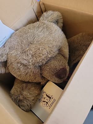 Vintage SPINOZA speaks From the Heart Therapy Plush Bear Collector Talking Tapes - Thumbnail 7