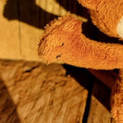Eco Nugenics Brown Plush Monkey small 7" Curly Tail VINTAGE Collector - Thumbnail 7