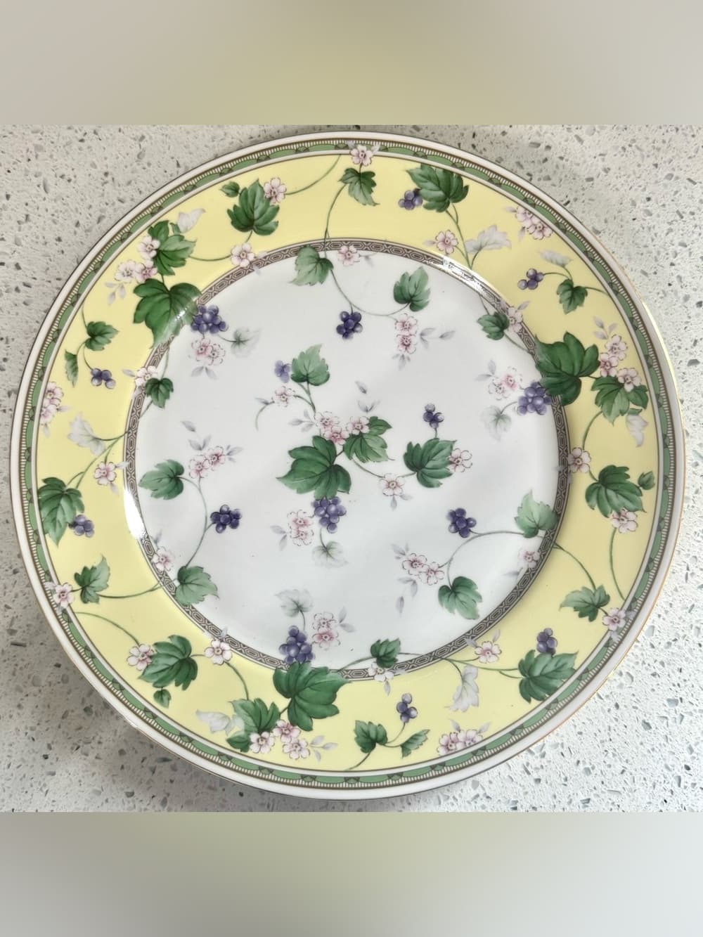 Andrea by Sadek Floral Ivy 11 Inch Decorative Ceramic Wall Plate Collectible