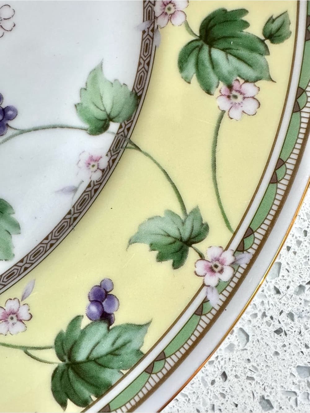 Andrea by Sadek Floral Ivy 11 Inch Decorative Ceramic Wall Plate Collectible - Thumbnail 3