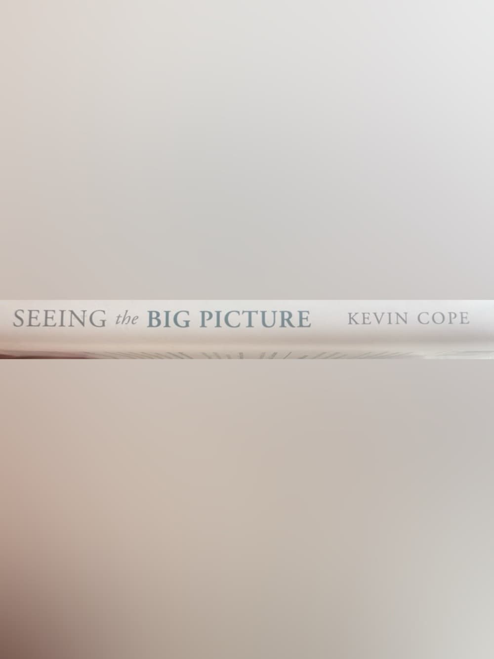 Seeing the Big Picture Kevin Cope Paperback Book Business Leadership Study Guide - Thumbnail 4