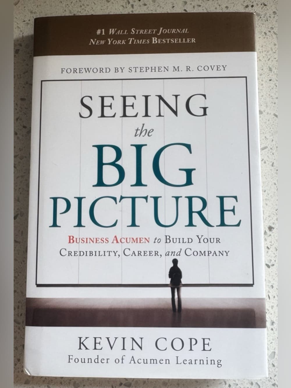 Seeing the Big Picture Kevin Cope Paperback Book Business Leadership Study Guide