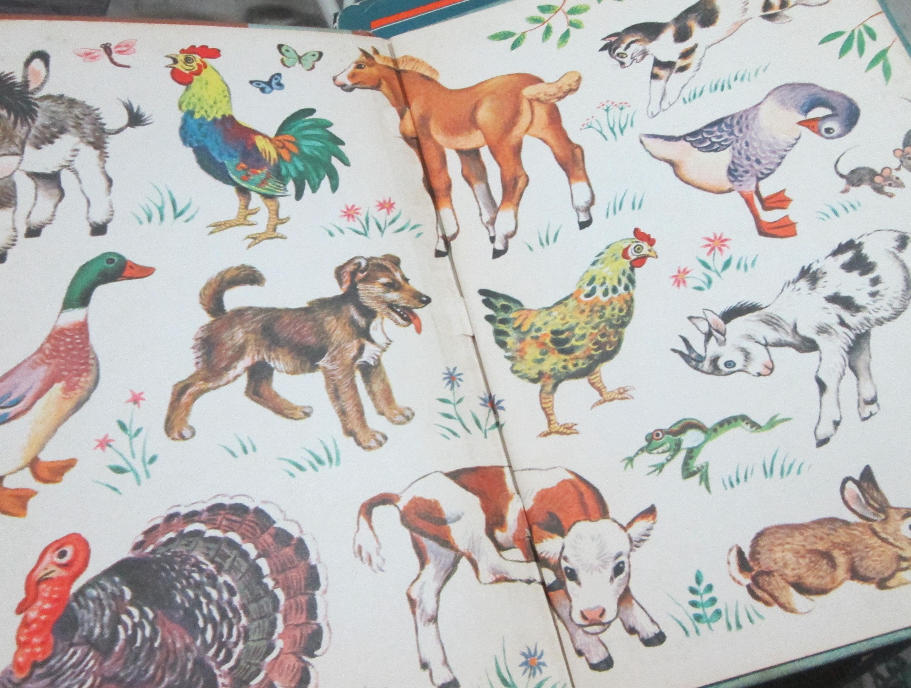 Golden Book Old Gray and the Little White Hen, 1966 - Thumbnail 3