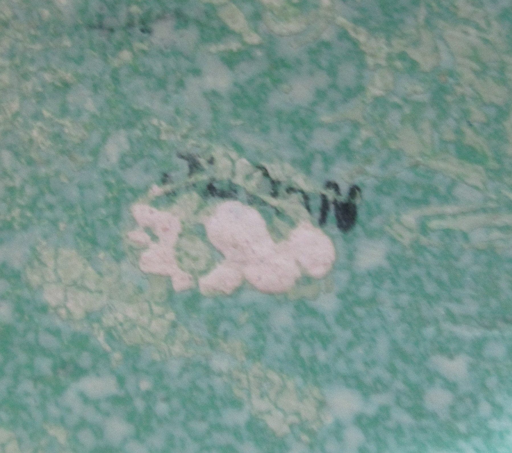 Vintage 1940's Green Floral Design Pitcher from Japan - Thumbnail 2