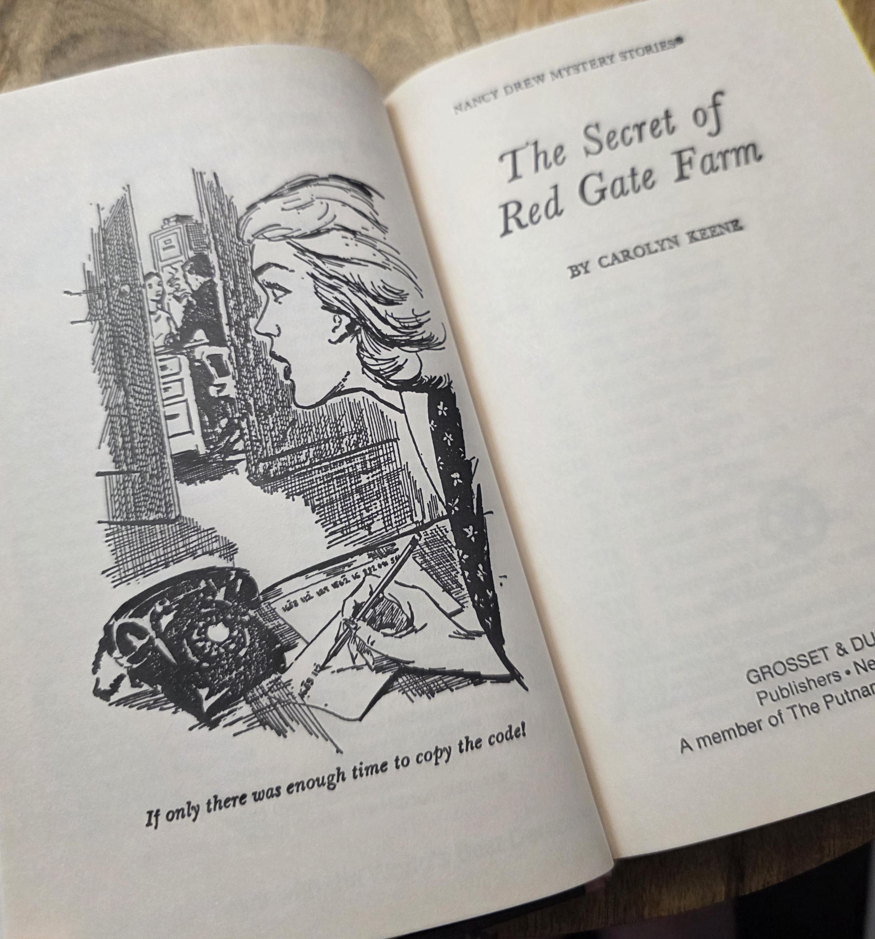Nancy Drew Mystery The Secret of Red Gate Farm by Carolyn Keene, 1989 - Thumbnail 3