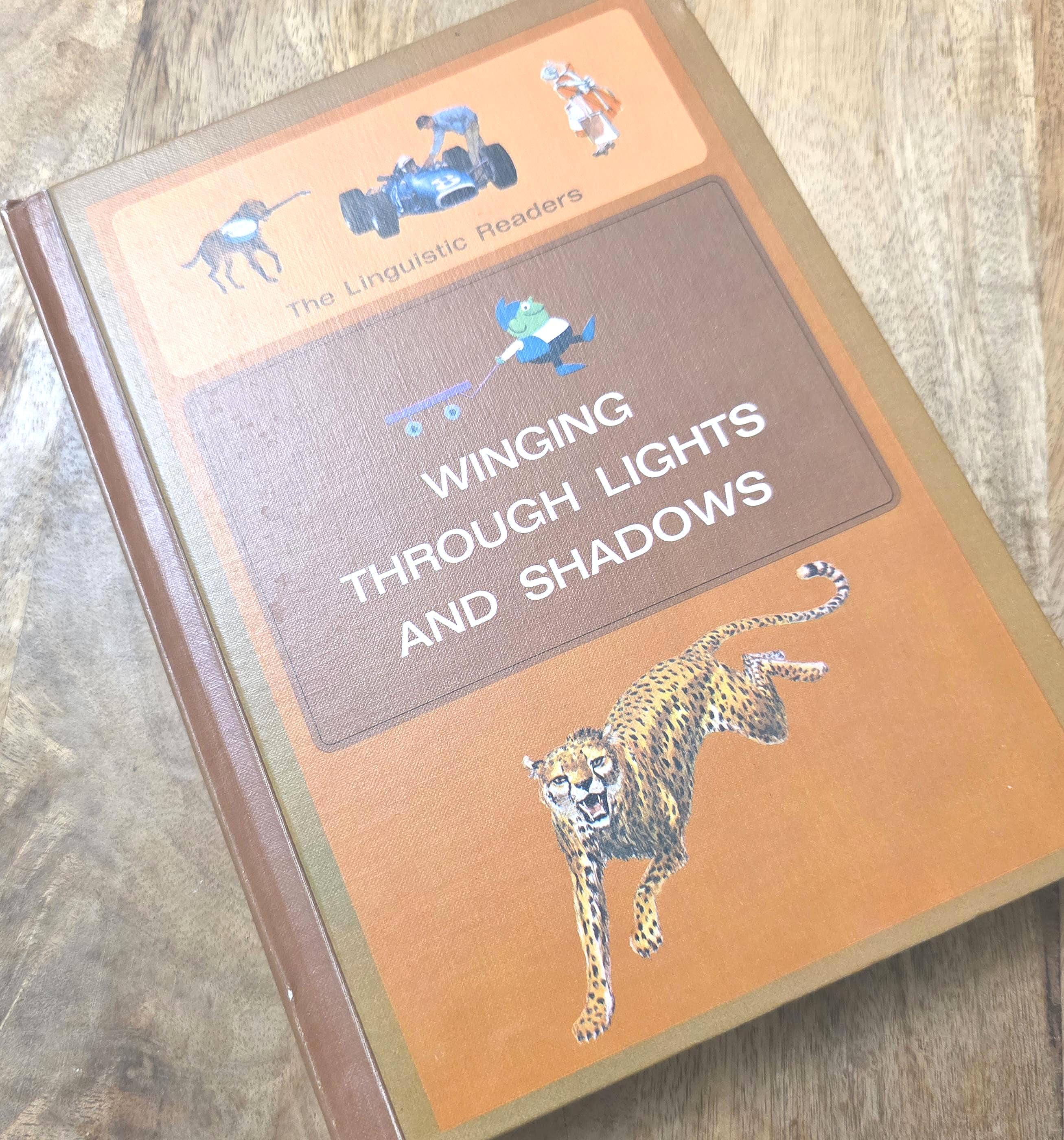 Vintage Children's School Book "Winging Through Lights and Shadows", 1967
