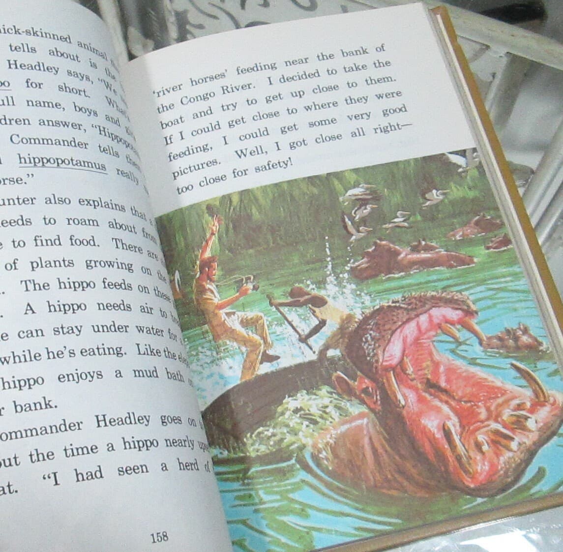 Vintage Children's School Book "Winging Through Lights and Shadows", 1967 - Thumbnail 4