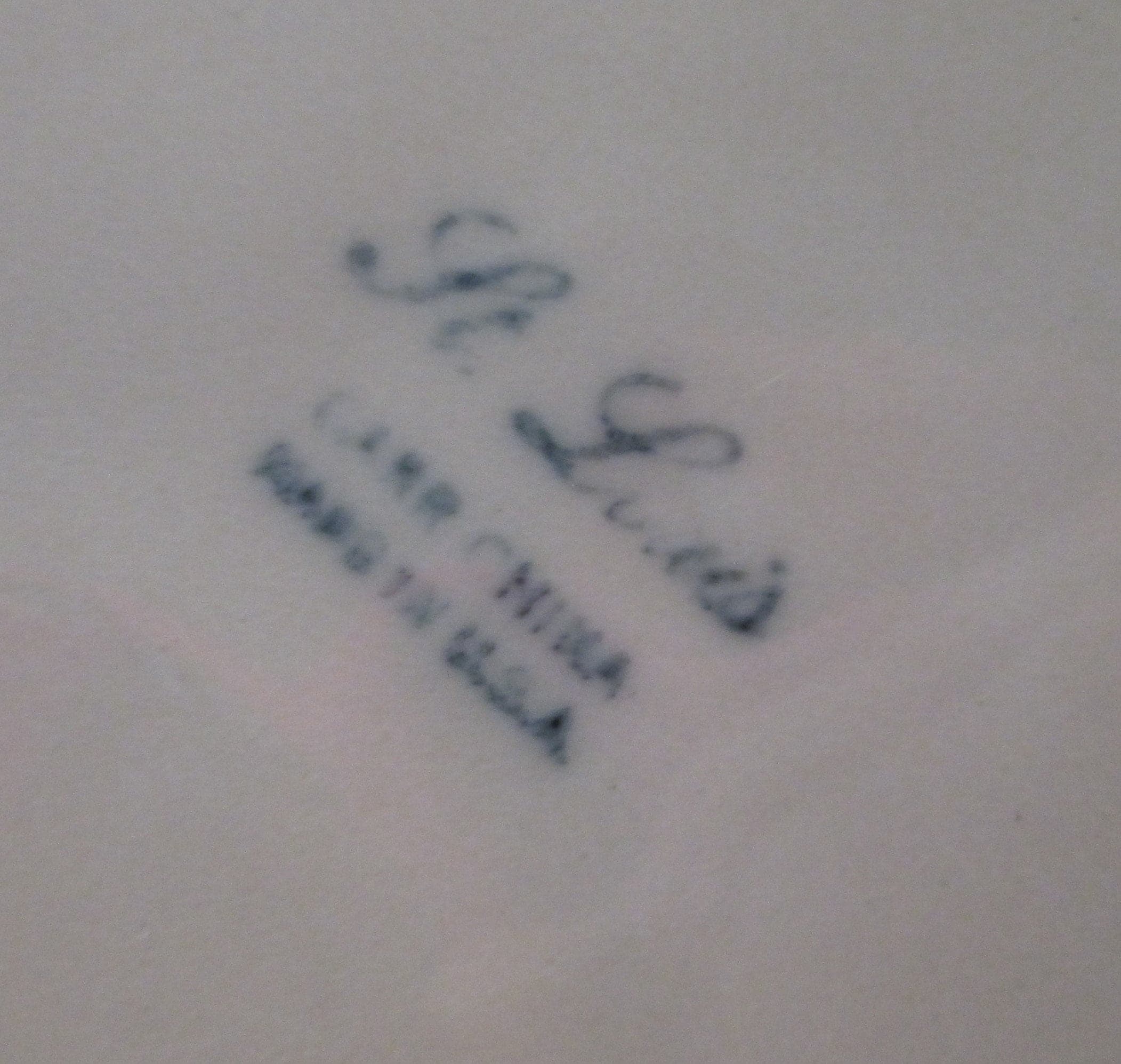 Vintage Carr China Restaurant Ware Grill Plate - Thumbnail 2
