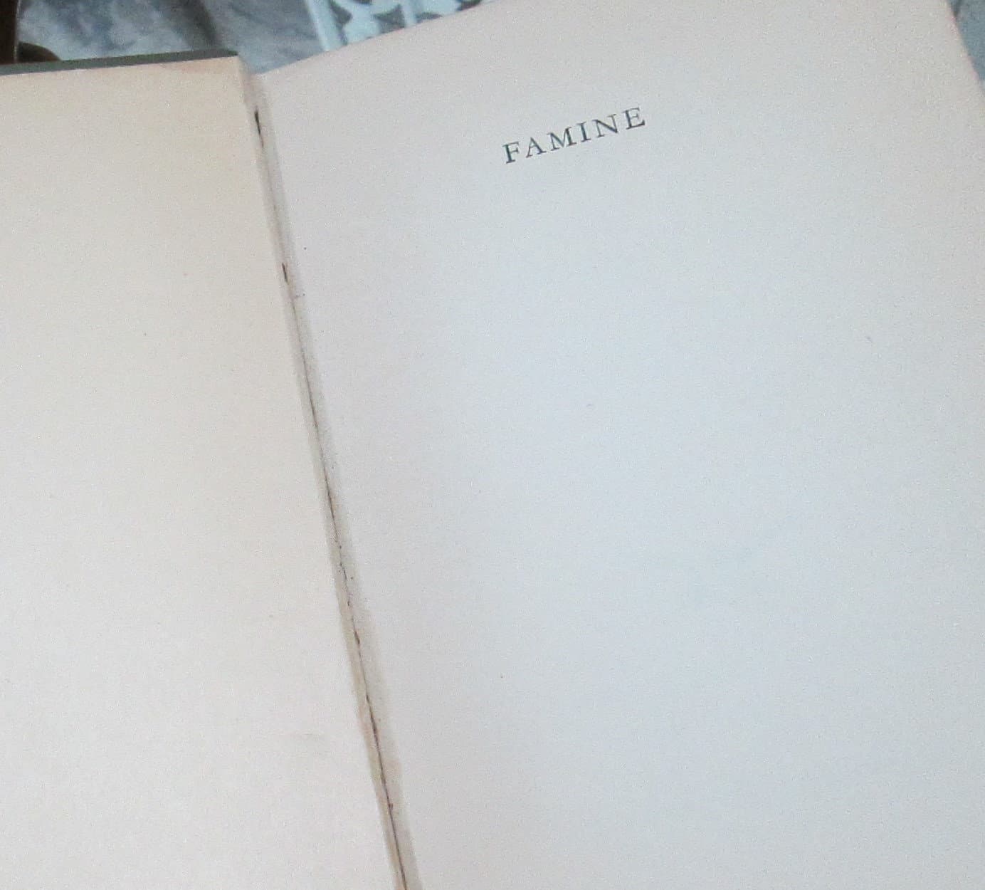 Vintage Edition Famine by Liam O'Flaherty, 1937 - Thumbnail 3