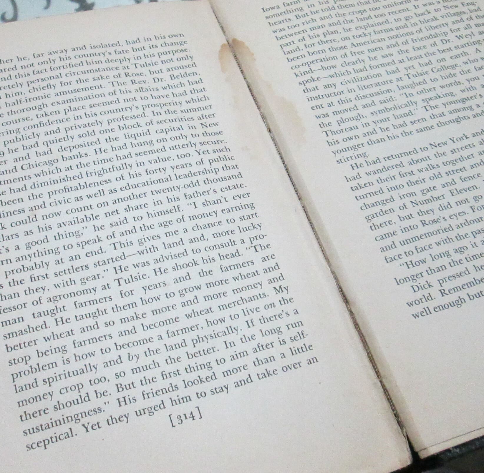 An Altar in the Fields by Ludwig Lewisohn 1934 Vintage Book - Thumbnail 5