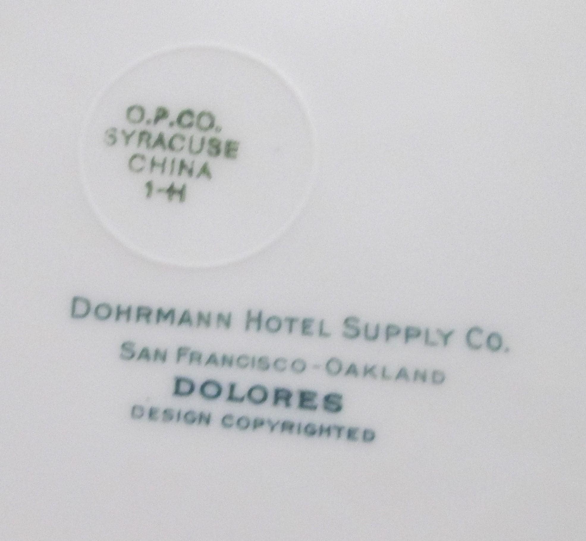Vintage OPCO Syracuse China Dolores Pattern Restaurant Ware Dinner Plate - Thumbnail 2