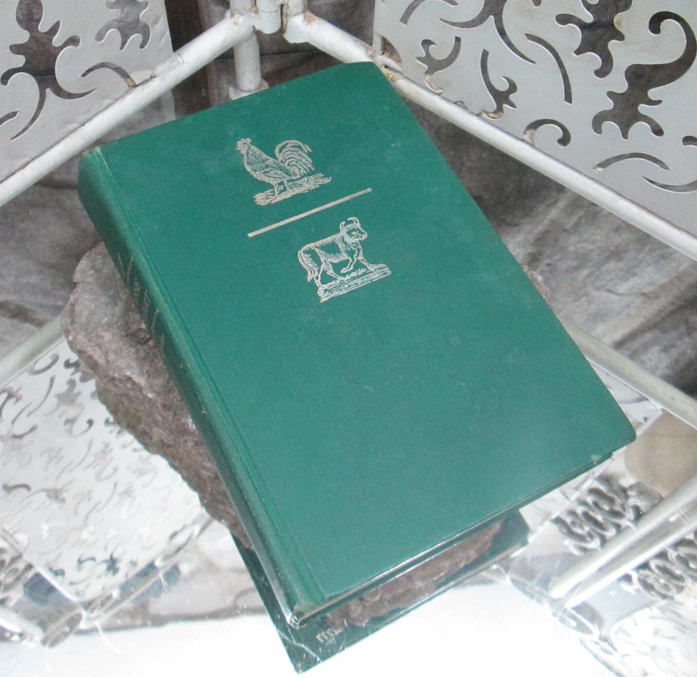 Vintage Jesse Stuart Reader Children's School Book 1963