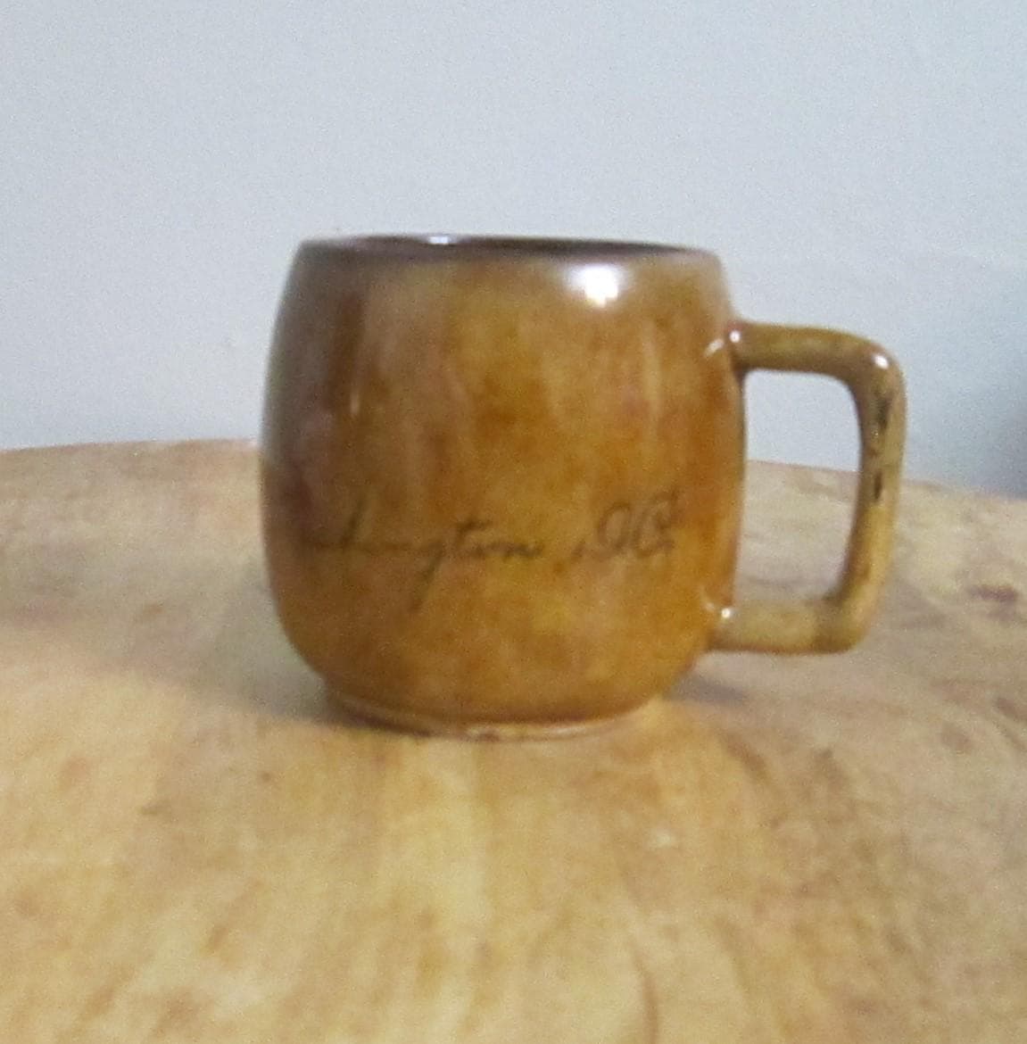 Vintage Blue Mountain Canadian Pottery Washington, D.C. Mug