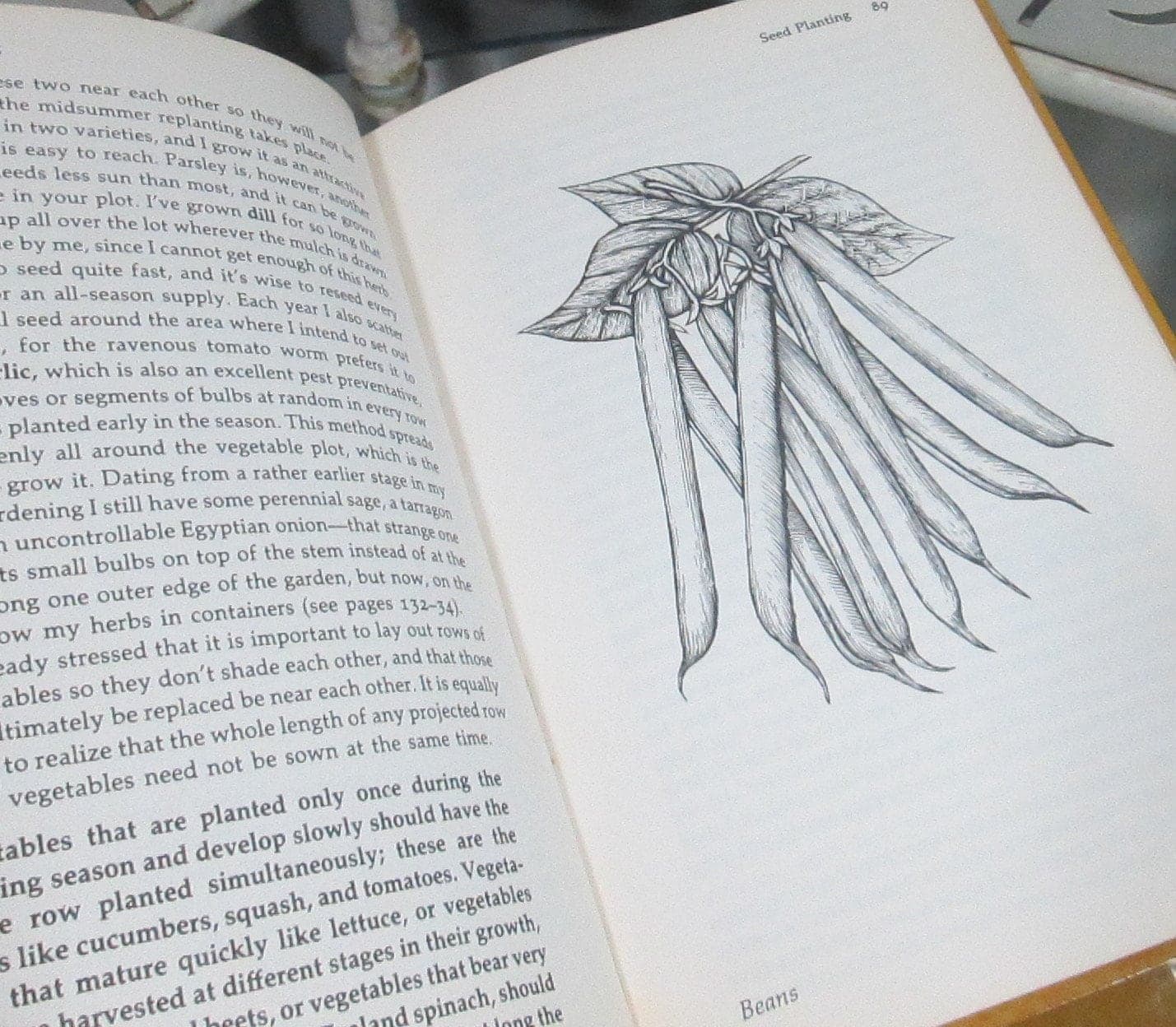 Vintage Book Making Vegetables Grow by Thalassa Cruso, 1975 - Thumbnail 4