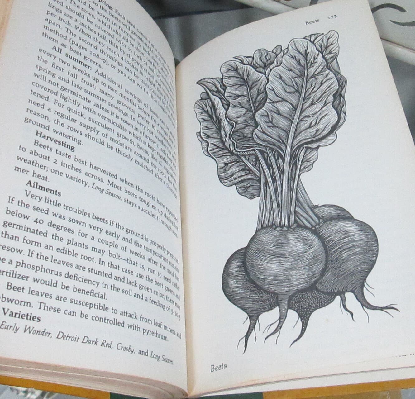 Vintage Book Making Vegetables Grow by Thalassa Cruso, 1975 - Thumbnail 5