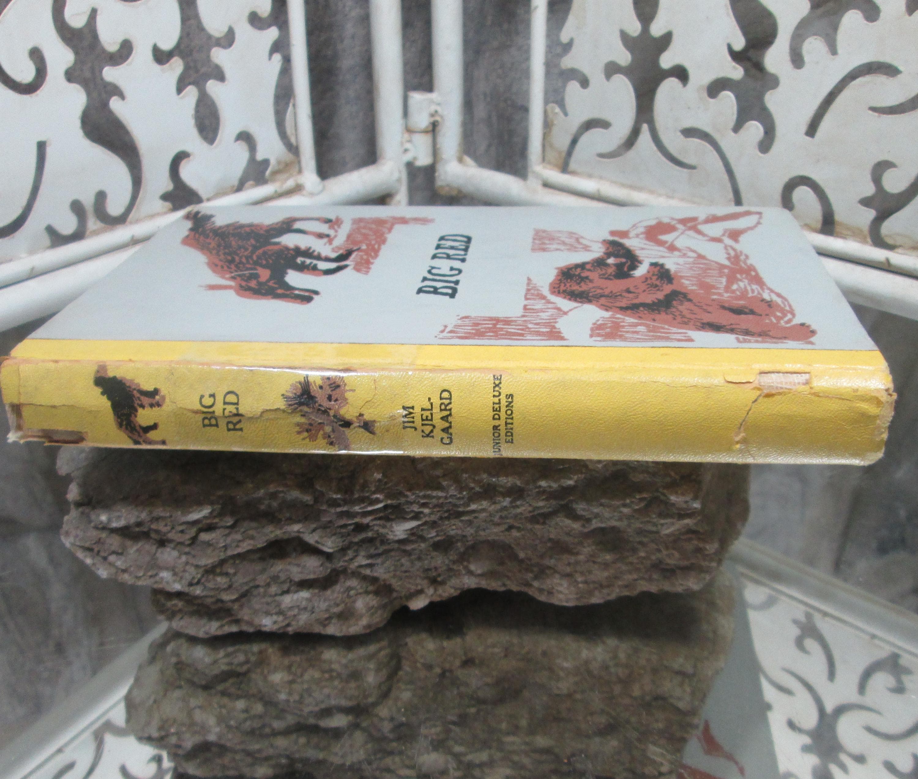 Big Red by Jim Kjelgaard, Illustrated by Shannon Stirnweis, 1945 - Thumbnail 2