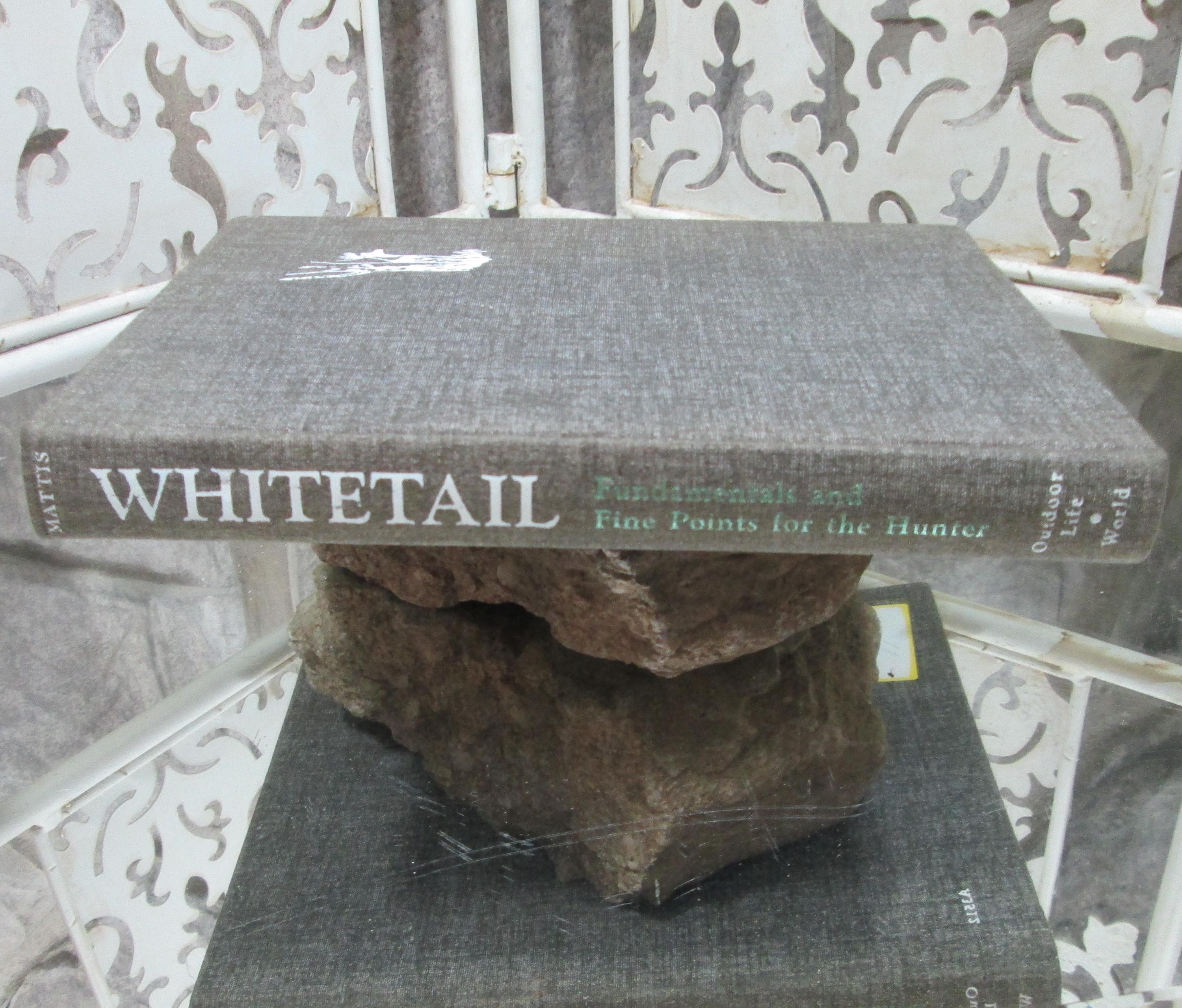 Whitetail, Fundamentals and Fine Points for the Hunter by George Mattis, 1969 - Thumbnail 2
