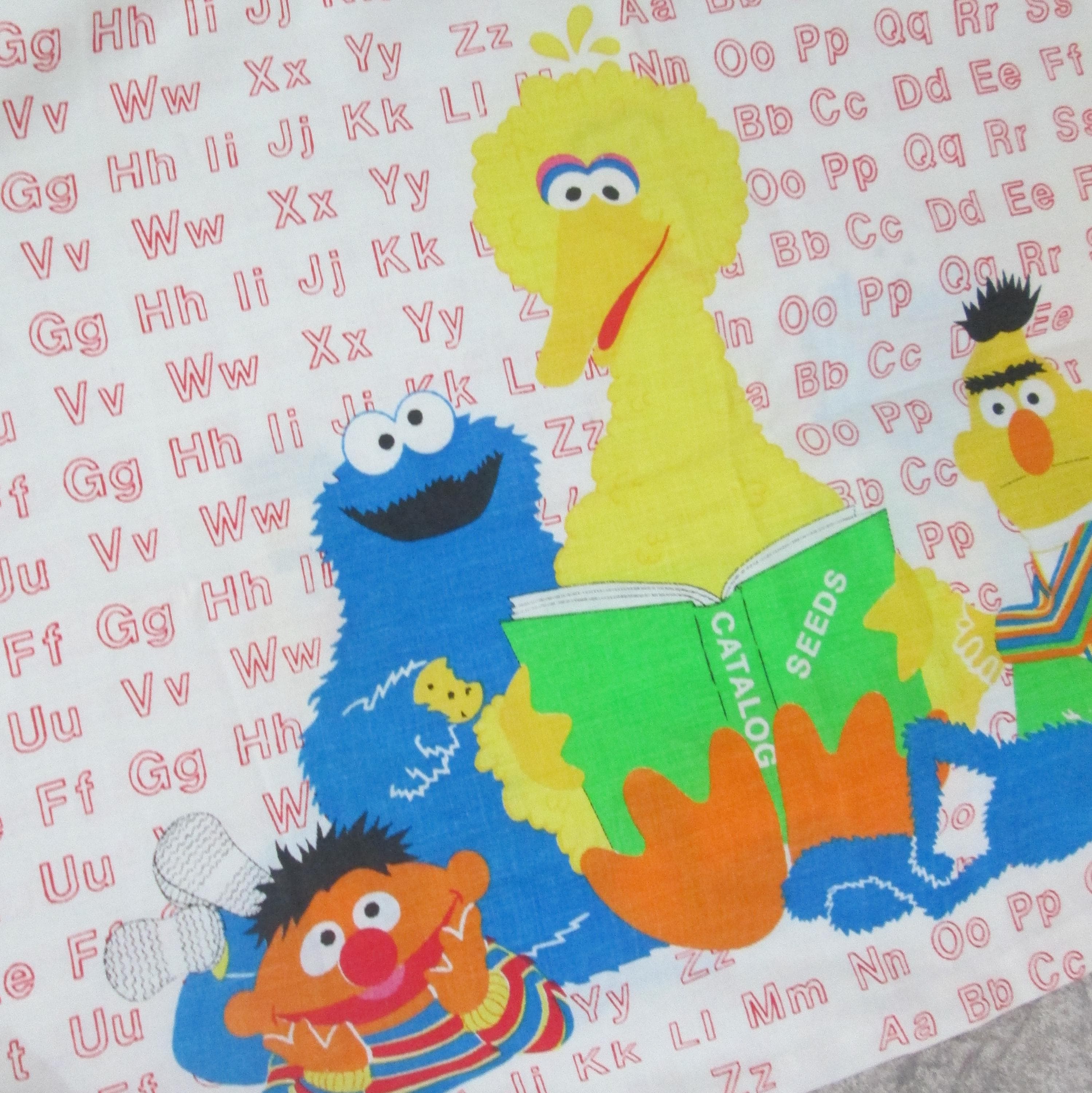 Vintage Sesame Street Alphabet Pair of Pillowcases - Thumbnail 2