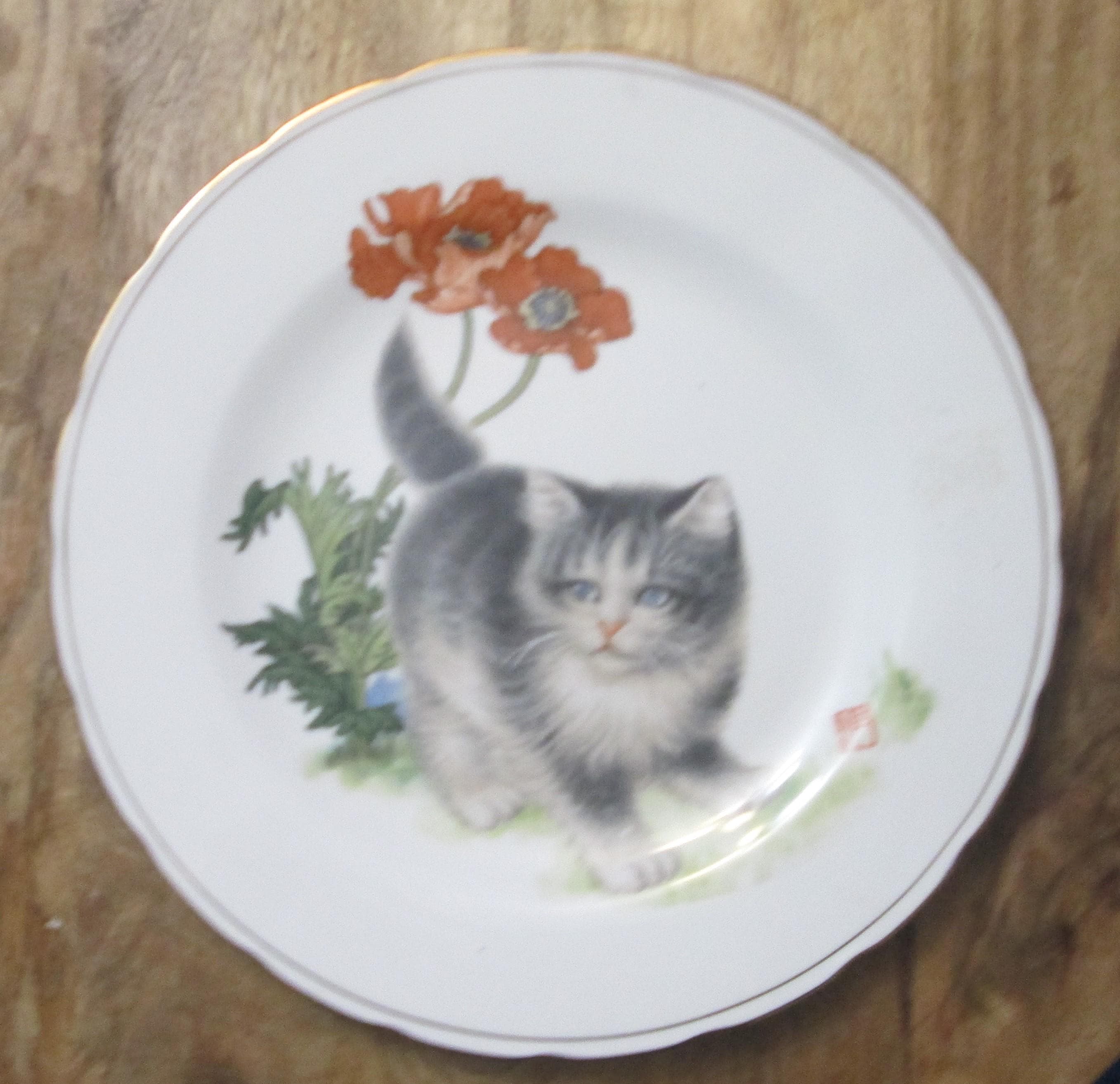 Vintage China Ancient Tradition Technology Exhibition Plate